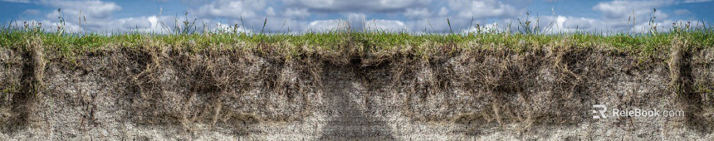 Wild Scenery texture