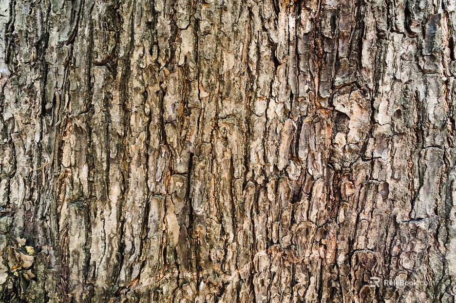 bark texture texture texture