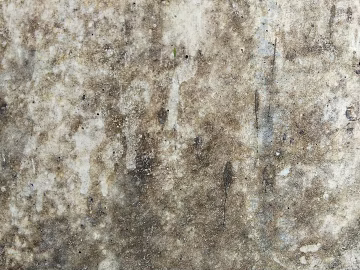 Cement texture (ID:ffaeg96288)