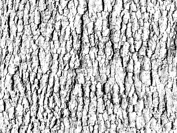 Black and White Bump texture (ID:ffacg11507)