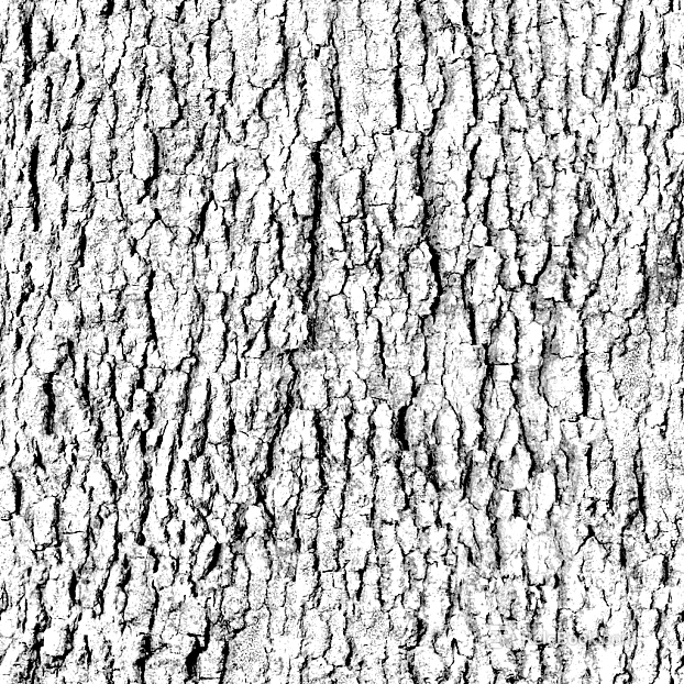 Black and White Bump texture