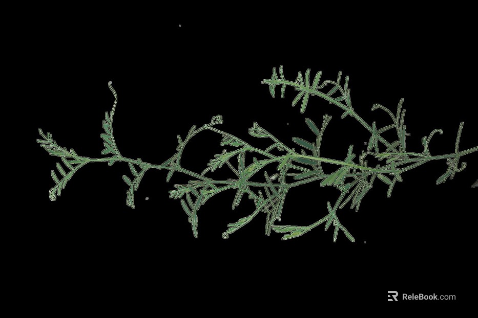 Plants texture