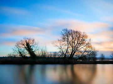 Wild Scenery texture (ID:ffajf6519)