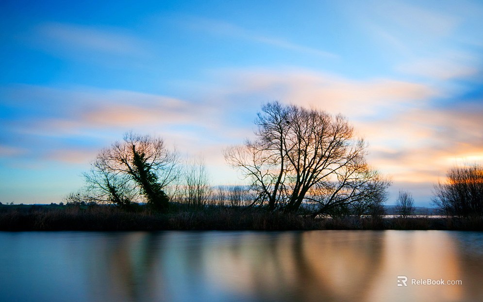 Wild Scenery texture