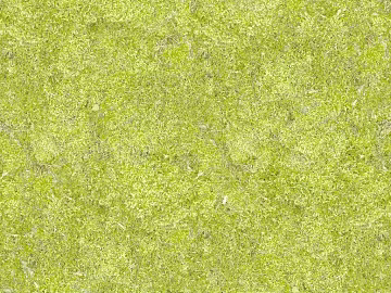 Grassland texture (ID:ffaag45585)