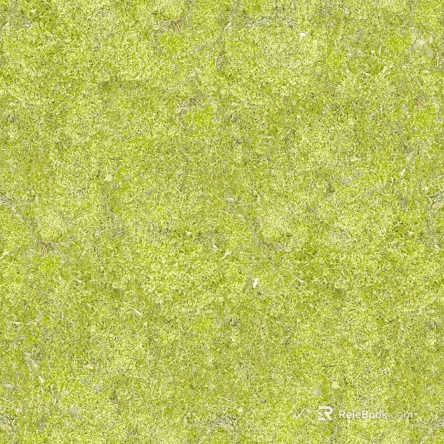 Grassland texture