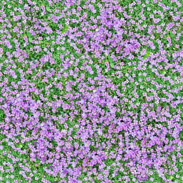 Flowers texture