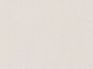 plain cloth texture (ID:ffajg81819)