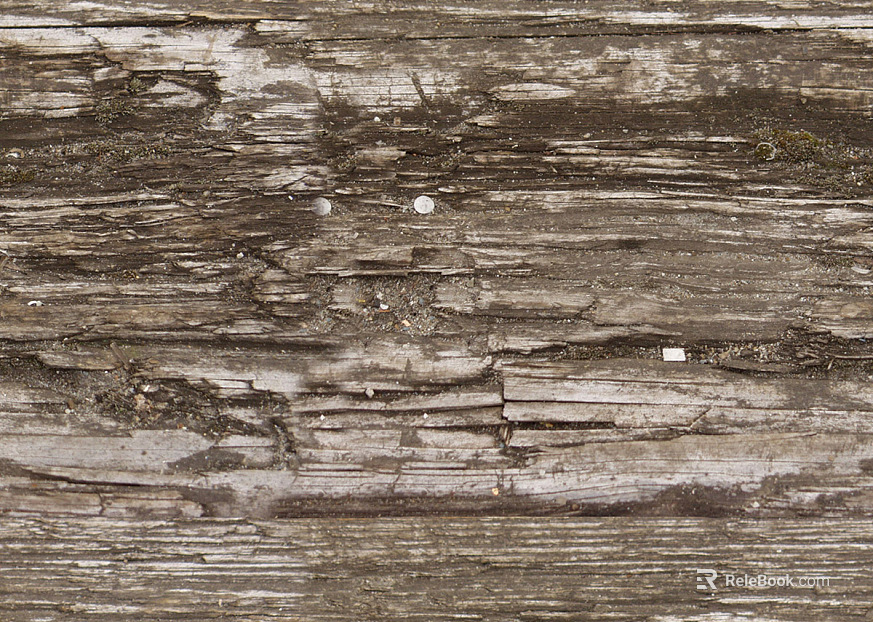 bark texture