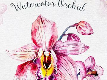 Flower Painting Hanging Painting Decorative Painting Plant Painting texture (ID:ffach707370)