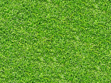 Grass Grass Slope Green Space Texture texture (ID:ffaeh559782)