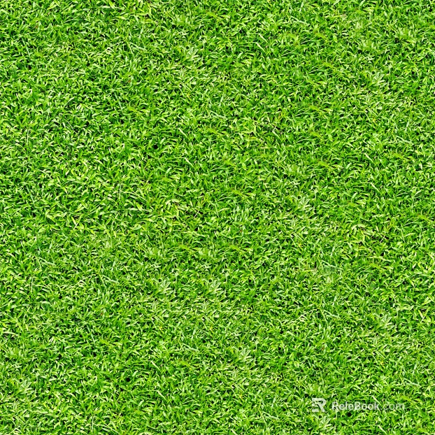 Grass Grass Slope Green Space Texture texture
