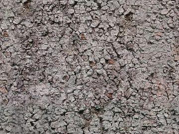 Gravel texture (ID:ffacg99697)