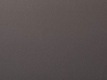 Coarse-grain leather 3d model