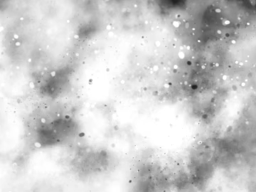 Black and white dust texture (ID:ffach401561)