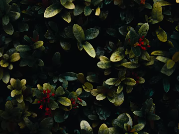 Plants texture (ID:ffabg66642)