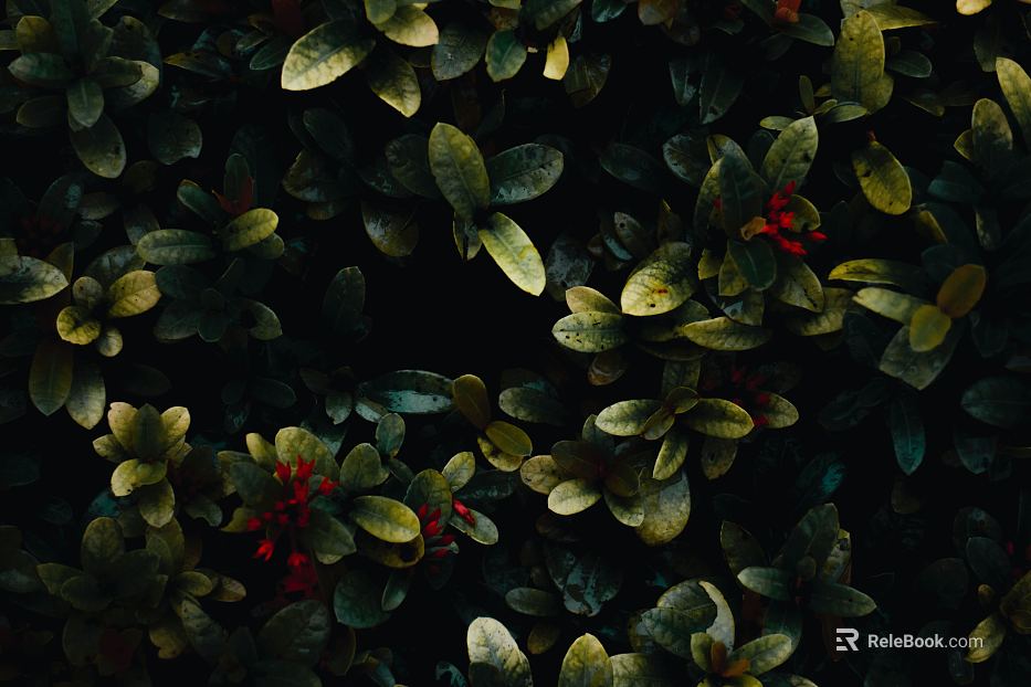 Plants texture