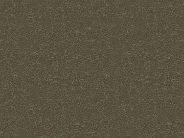 fine grain leather texture (ID:ffajg87999)