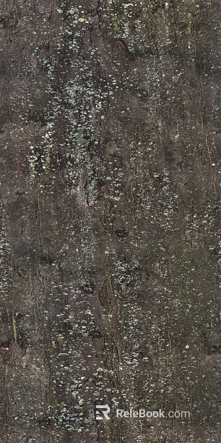 bark texture