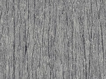 bark texture (ID:ffagg50647)