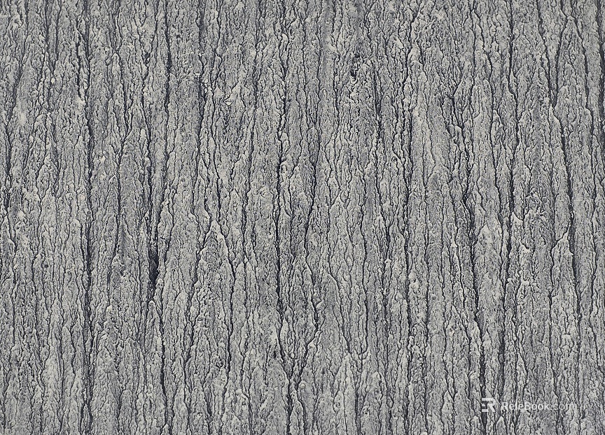 bark texture