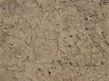Mud ground texture (ID:ffabf8685)