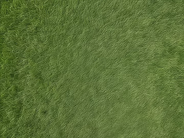 Lawn Grass Grass Green Grass Color texture (ID:ffach676774)