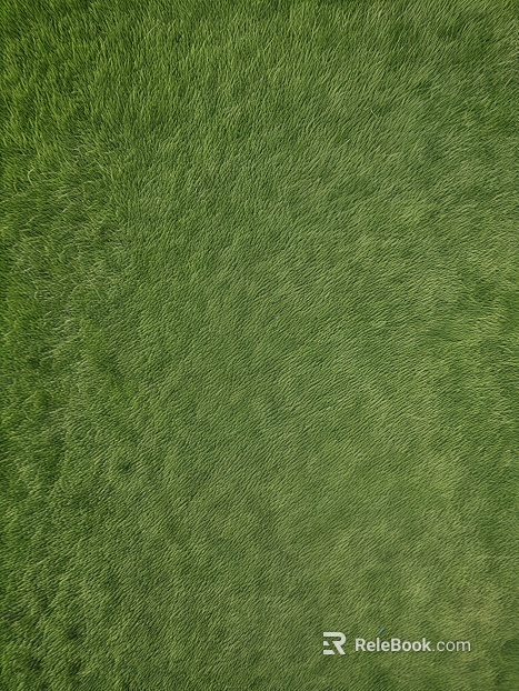 Lawn Grass Grass Green Grass Color texture