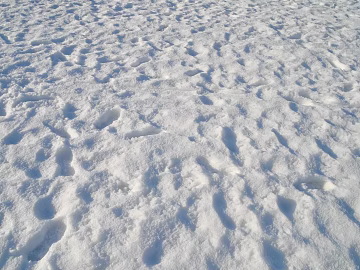Snow texture (ID:ffabg76979)