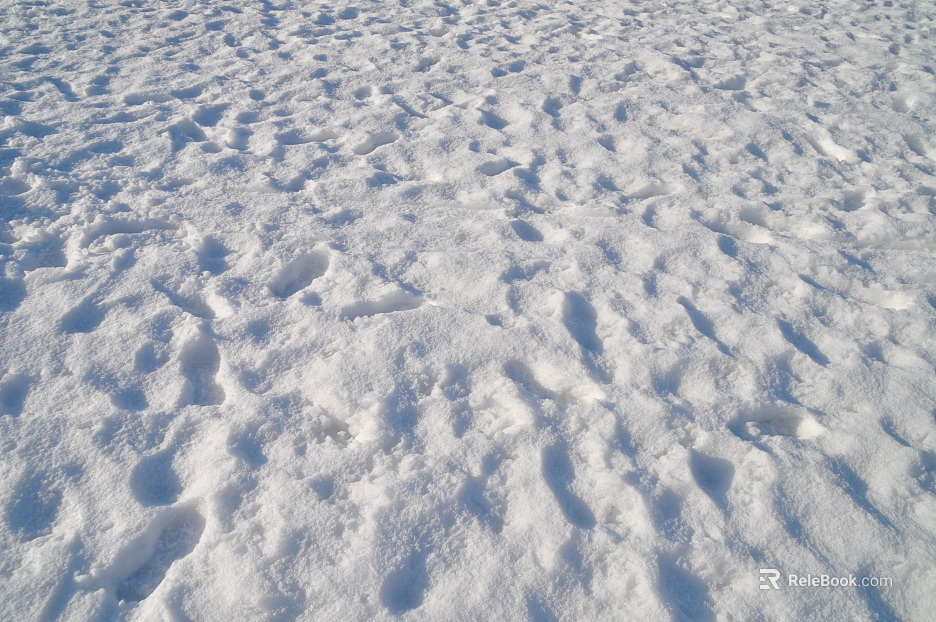 Snow texture