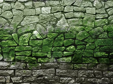 Green Planting on Cultural Stone Wall texture (ID:ffaeg99921)
