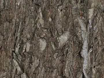 Gray-brown bark, natural decorative finish texture (ID:ffaeh755339)