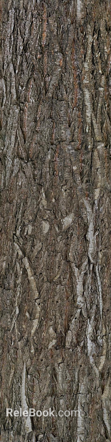 Gray-brown bark, natural decorative finish texture
