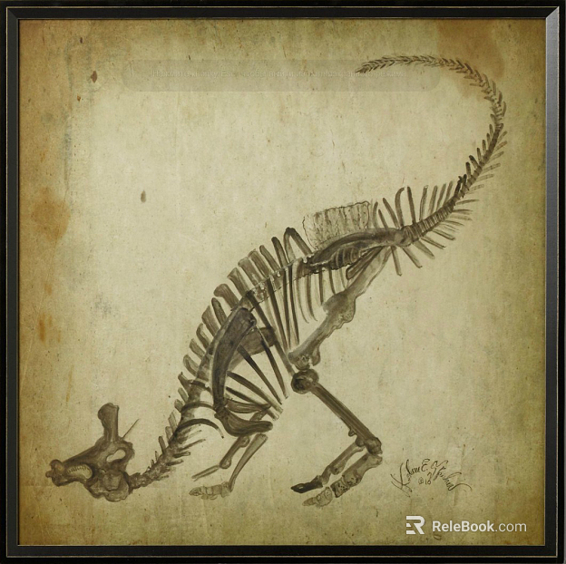Animal painting texture