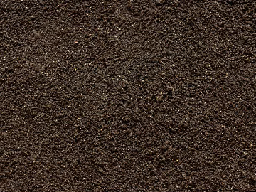 Mud texture (ID:ffacg80925)