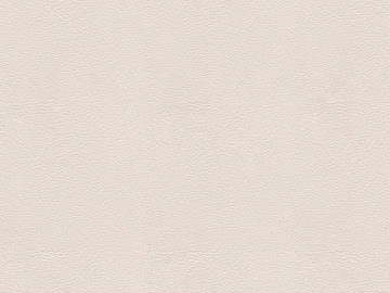 fine grain leather texture (ID:ffach889310)