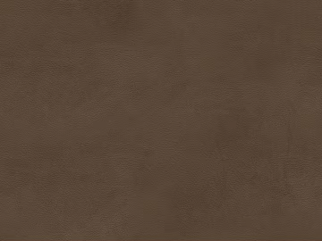 fine grain leather texture (ID:ffagg00416)