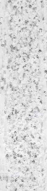 Gray white cement outdoor pavement texture
