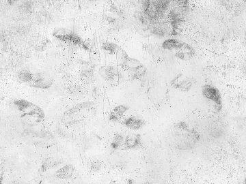 Cement texture (ID:ffagg16323)