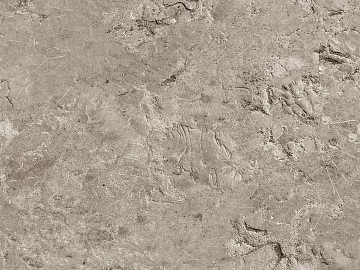 Rock 3d model