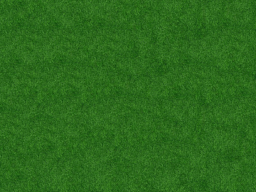 Turf texture (ID:ffacg26233)