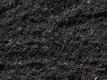 Ground texture (ID:ffacg07628)