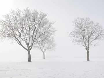 Snow texture (ID:ffajg98507)