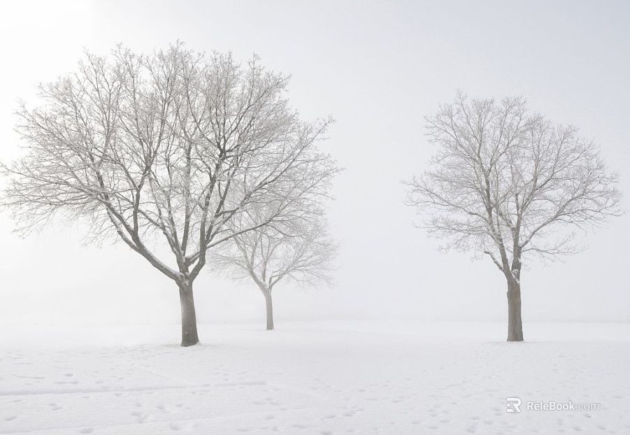 Snow texture