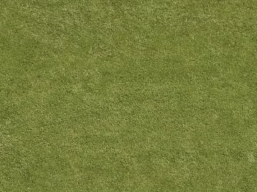 Turf texture (ID:ffacg01102)