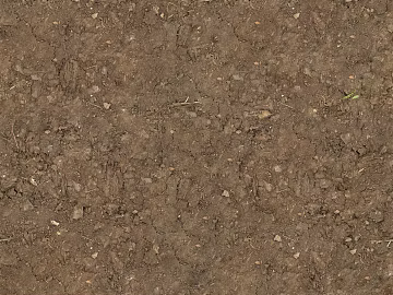 Mud texture (ID:ffabg32576)