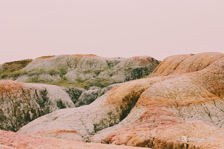 Wild Scenery texture