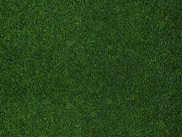 Turf texture (ID:ffabg22035)