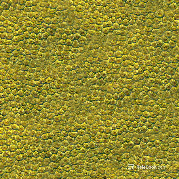 plant pattern texture