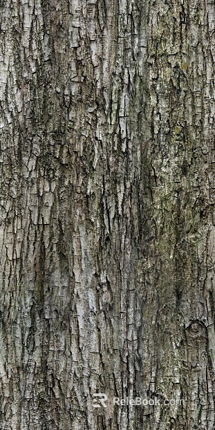bark texture